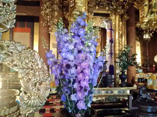 雨竜　専福寺(北海道)