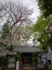 神明氷川神社の本殿