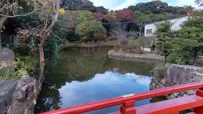 鶴岡八幡宮(神奈川県)