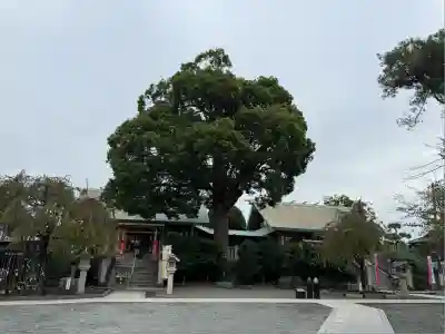 伊勢原大神宮(神奈川県)