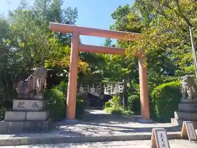 堀越神社の鳥居