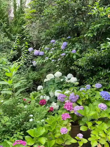 大綱金刀比羅神社(神奈川県)