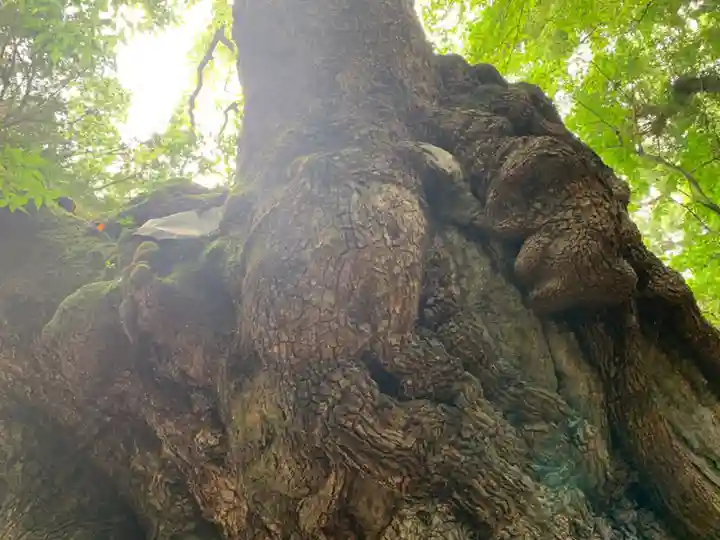 來宮神社のその他建物