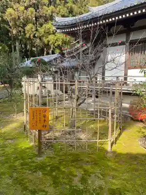 補陀洛山寺(和歌山県)