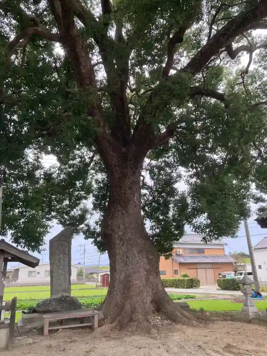 市杵島神社(徳島県)