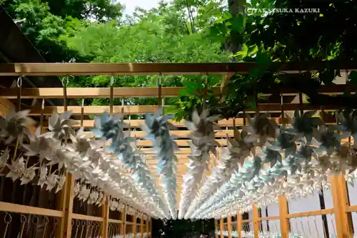 川越氷川神社(埼玉県)