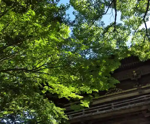 笠覆寺 (笠寺観音)の山門・神門