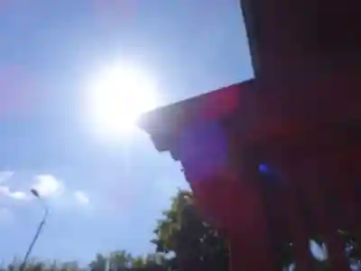 妙蓮寺のその他建物