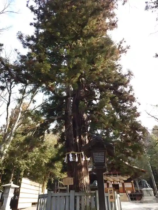 諏訪大社下社秋宮(長野県)