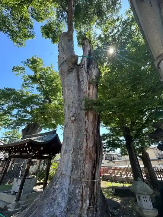 科野大宮社(長野県)