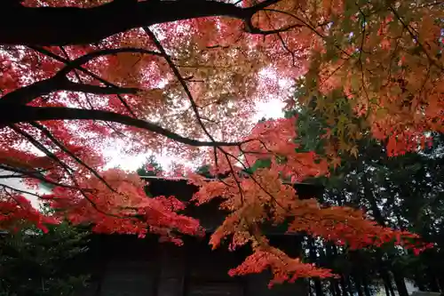 滑川神社 - 仕事と子どもの守り神の自然