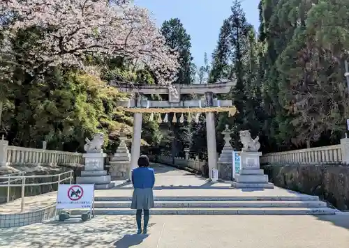 針名神社の鳥居