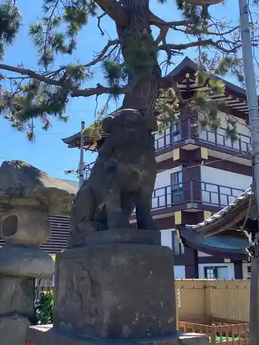 羽田神社の狛犬