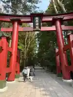 彌彦神社の{uncategorized: "未分類", other: "その他", undefined: "問題あり", building: "その他建物", grave: "お墓", sacred_gate: "鳥居", guardian: "狛犬", statue: "像", buddha: "仏像", history: "歴史", nature: "自然", garden: "庭園", animal: "動物", pagoda: "塔", temizu: "手水舎", mountain_gate: "山門・神門", sanctuary: "本殿・本堂", subordinate: "末社・摂社", art: "芸術", scenery: "景色", jizo: "地蔵", ema: "絵馬", goshuin: "御朱印", omikuji: "おみくじ", items: "授与品その他", amulet: "お守り", goshuincho: "御朱印帳", eats: "食事", festival: "お祭り", votive_dance: "神楽", shichigosan: "七五三参", wedding: "結婚式", experience: "体験その他", initially: "初詣", around: "周辺", anti_infection: "感染症対策"}