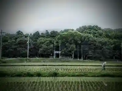 熊野神社（吉川熊野神社）の周辺