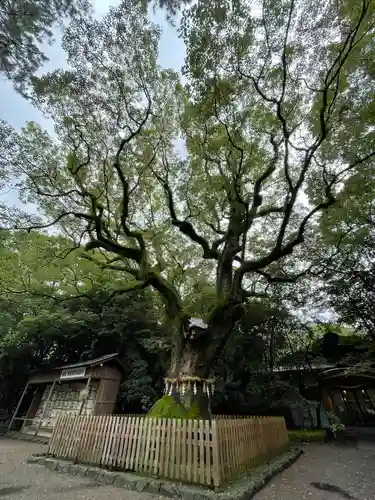 熱田神宮(愛知県)