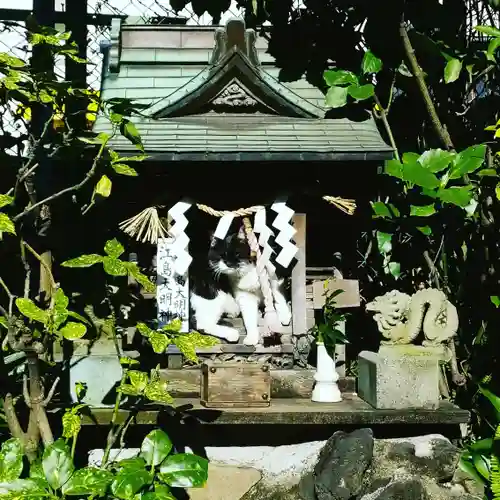 柳森神社の動物