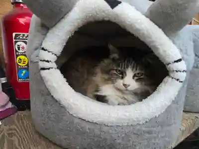 梅宮大社(京都府)