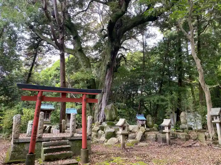 多聞院の{uncategorized: "未分類", other: "その他", undefined: "問題あり", building: "その他建物", grave: "お墓", sacred_gate: "鳥居", guardian: "狛犬", statue: "像", buddha: "仏像", history: "歴史", nature: "自然", garden: "庭園", animal: "動物", pagoda: "塔", temizu: "手水舎", mountain_gate: "山門・神門", sanctuary: "本殿・本堂", subordinate: "末社・摂社", art: "芸術", scenery: "景色", jizo: "地蔵", ema: "絵馬", goshuin: "御朱印", omikuji: "おみくじ", items: "授与品その他", amulet: "お守り", goshuincho: "御朱印帳", eats: "食事", festival: "お祭り", votive_dance: "神楽", shichigosan: "七五三参", wedding: "結婚式", experience: "体験その他", initially: "初詣", around: "周辺", anti_infection: "感染症対策"}