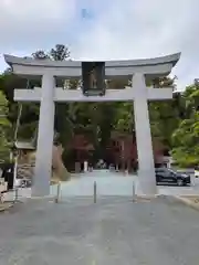 小國神社の鳥居