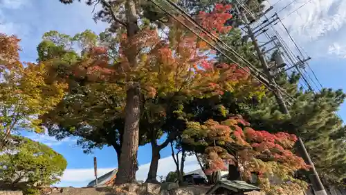 豊国神社(京都府)