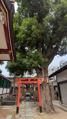 上の天神 生根神社(大阪府)