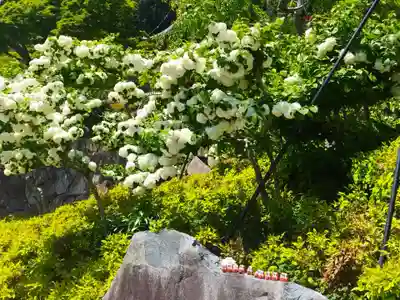 勝尾寺(大阪府)