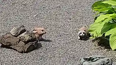 常陸第三宮 吉田神社(茨城県)