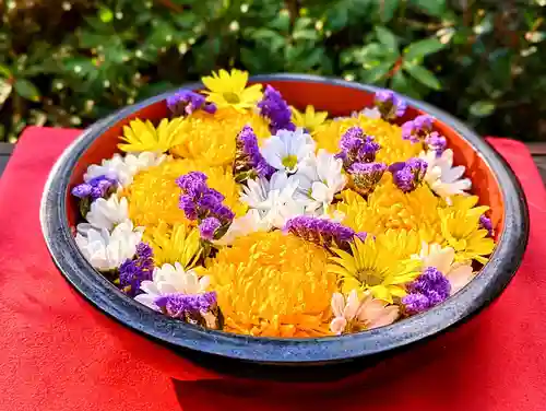 増上寺塔頭 三縁山 宝珠院の手水舎