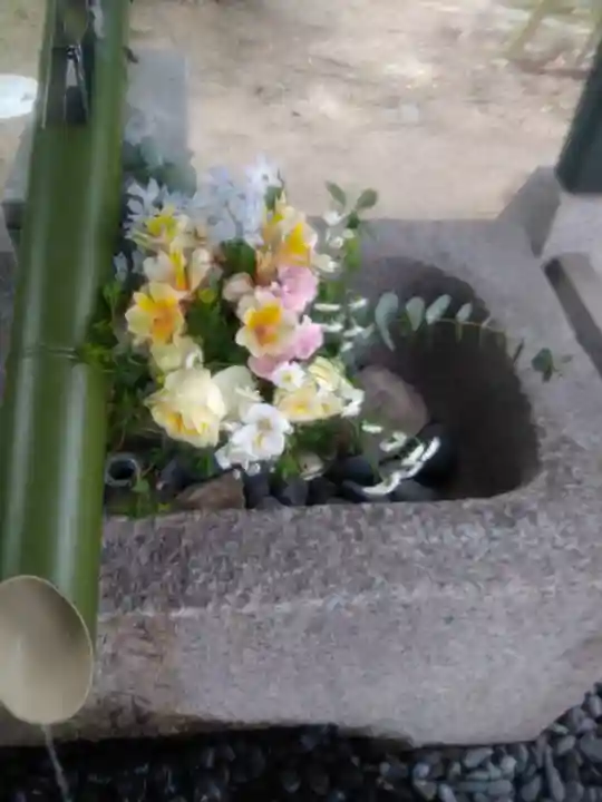 木華佐久耶比咩神社の手水舎