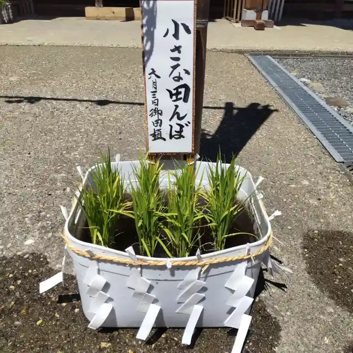 七重浜海津見神社(北海道)