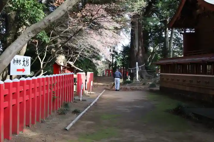 麻賀多神社奥宮(千葉県)