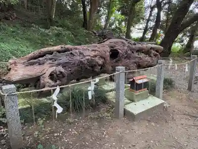 泉神社(茨城県)