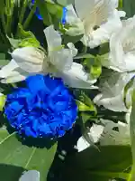 上尾御嶽神社の手水舎