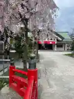 善知鳥神社(青森県)