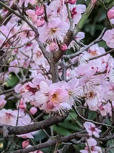 中野沼袋氷川神社(東京都)
