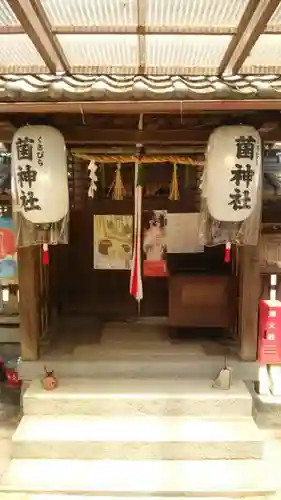 菌神社の本殿・本堂