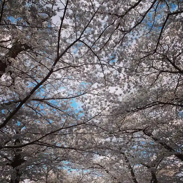 豊景神社の自然