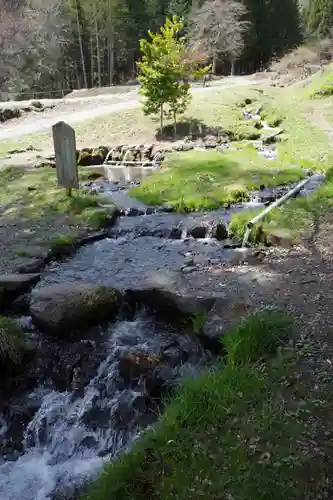 諏訪大社上社前宮の自然