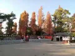 阿部野神社(大阪府)