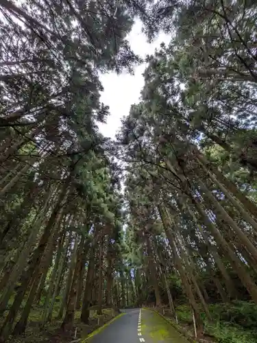 東堂山 満福寺（昭和羅漢）の周辺
