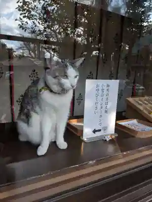 本郷氷川神社(東京都)