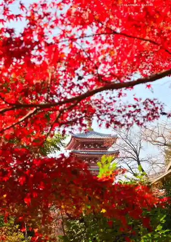 本土寺(千葉県)