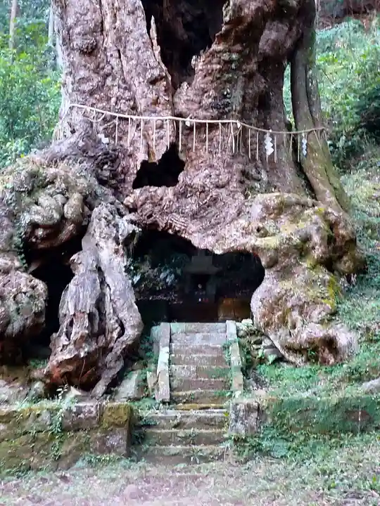 武雄神社(佐賀県)