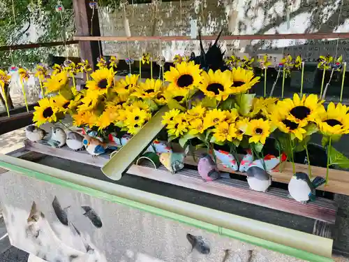 國分八幡宮の手水舎