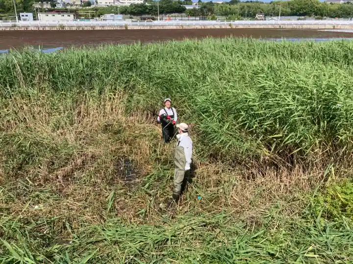 和泉國一之宮 大鳥大社の周辺