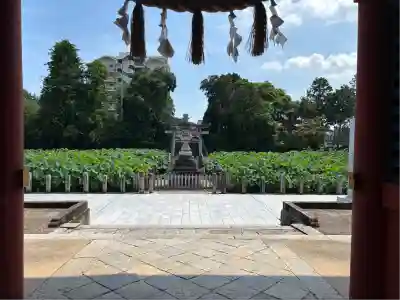 伊賀八幡宮(愛知県)