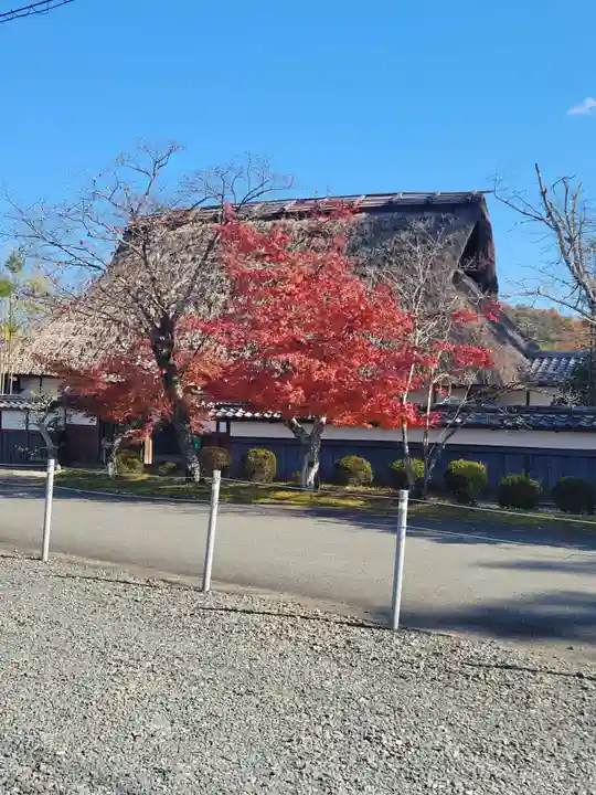 走田神社(京都府)