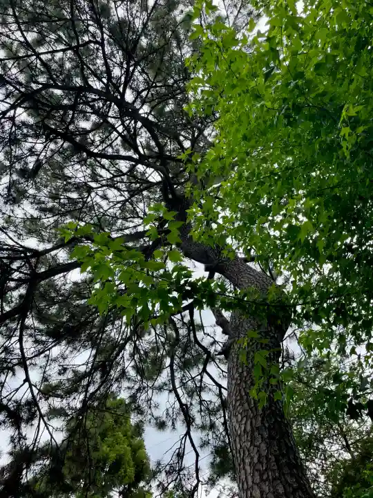 松先稲荷神社(千葉県)