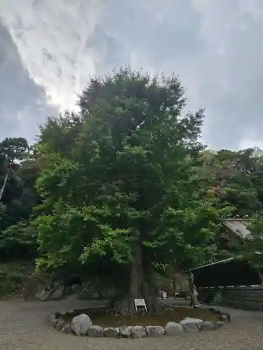 安房神社(千葉県)
